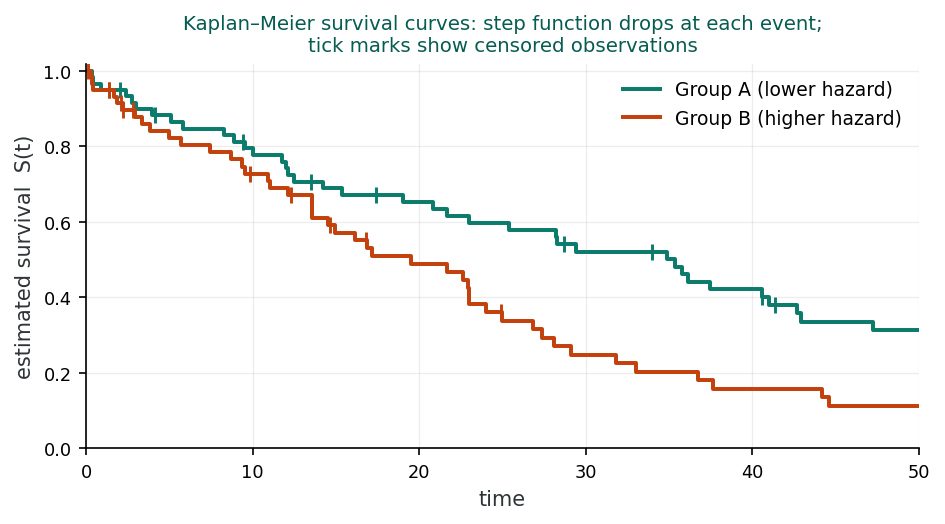 Two Kaplan-Meier survival curves for two groups. Each is a downward step function that drops at observed event times, with short vertical tick marks indicating censored observations. The lower-hazard group stays higher for longer.