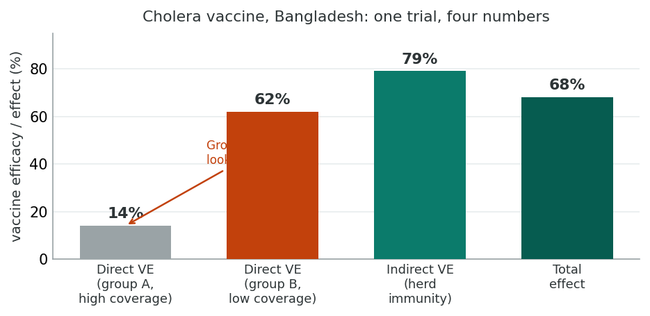 Bar chart of four efficacy numbers from the Bangladesh cholera vaccine trial: direct efficacy 14% in the high-coverage group, 62% in the low-coverage group, indirect (herd-immunity) effect 79%, and total effect 68%.